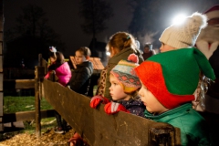 Kerststal-17