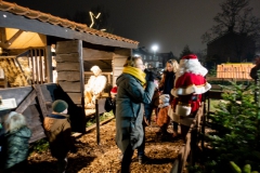 Kerststal-19