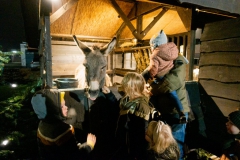 Kerststal-20