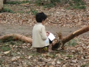 DSC00842