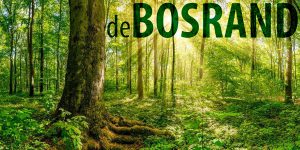 Bosrand